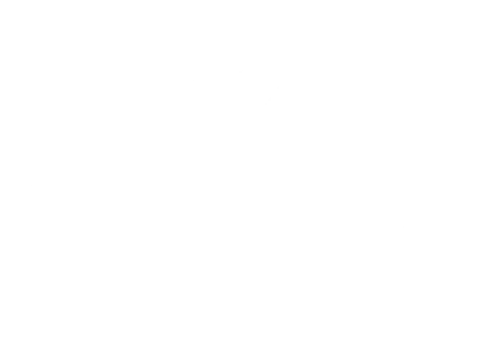 Super NSA